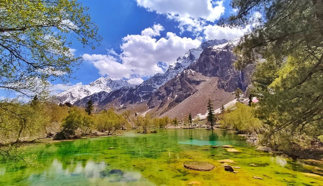 Naltar Valley